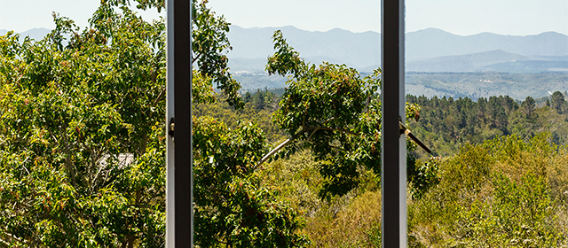 View of Fynbos Wildlife