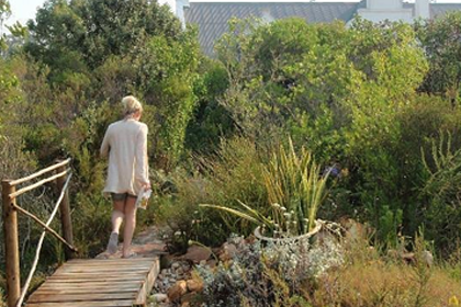 Woman Walking on a Wooden Bridge in Fynbos Wildlife