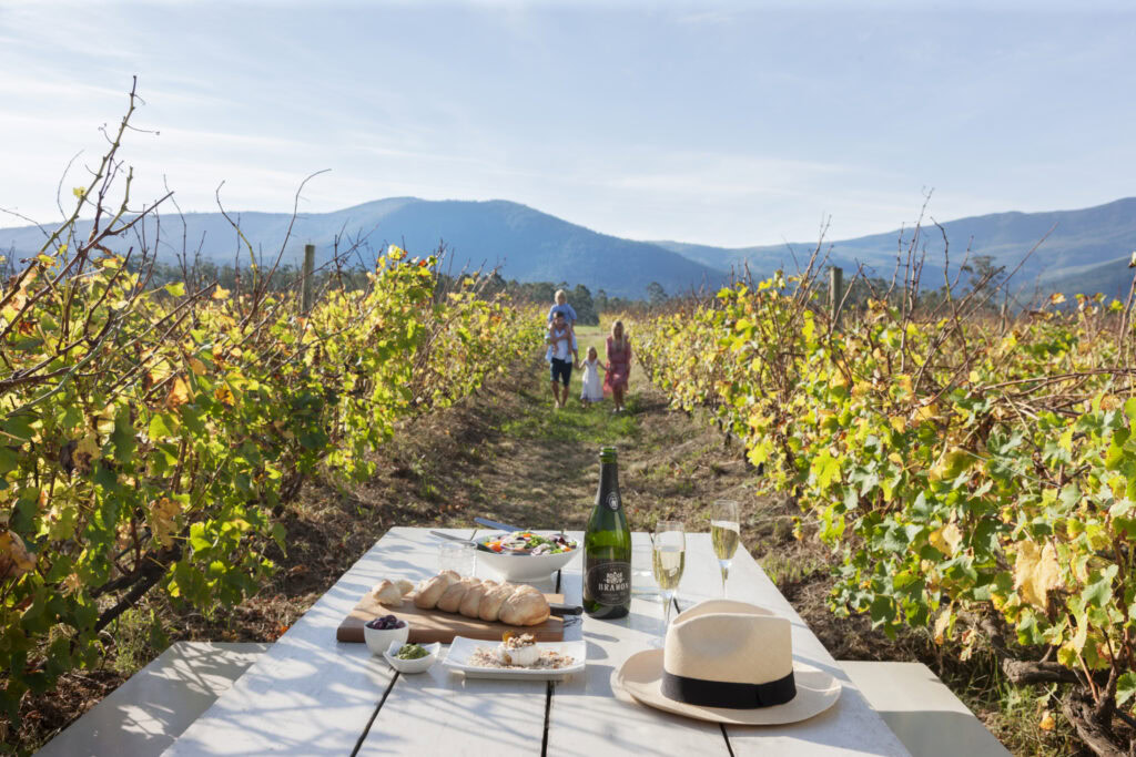 Family on wine route