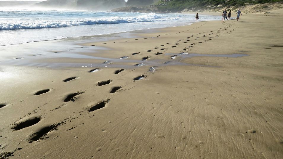 The Best Walking and Hiking Trails in Plettenberg Bay